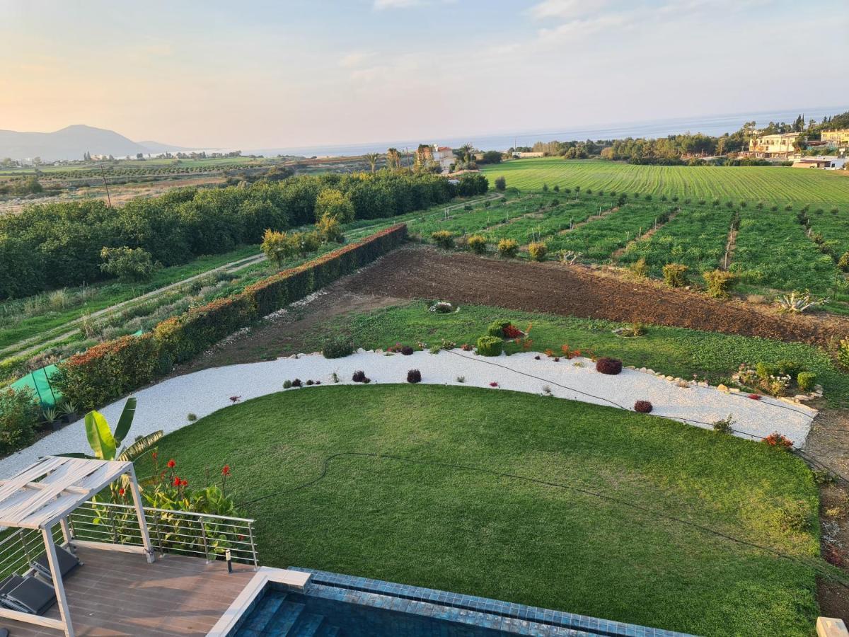 Eva Luxury Villa Lachi Ngoại thất bức ảnh