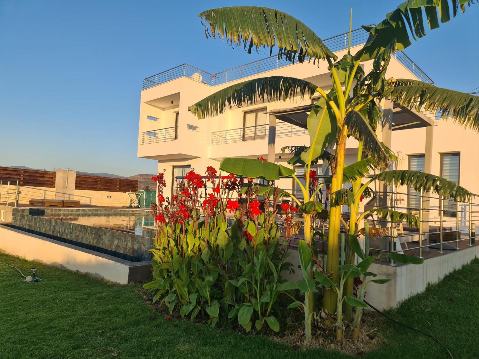 Eva Luxury Villa Lachi Ngoại thất bức ảnh